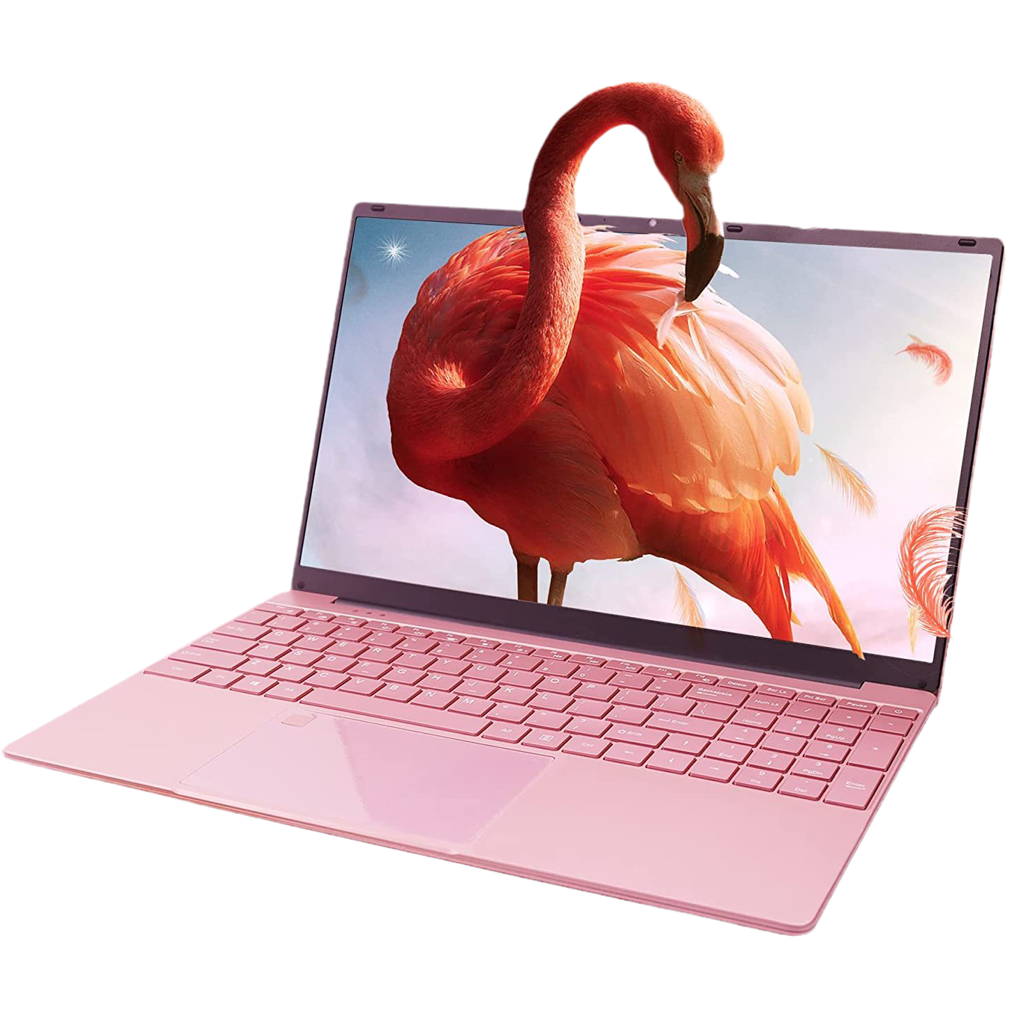 DAMI3C G91 Laptop 15.6-inch front display