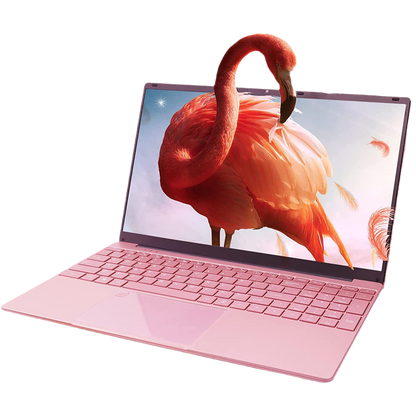 DAMI3C G91 Laptop 15.6-inch front display